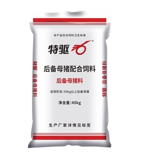 后备母猪料